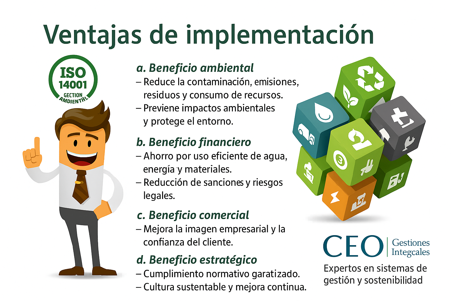 implantacion i2o 14001